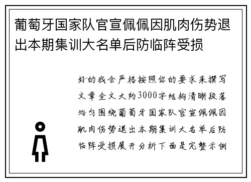 葡萄牙国家队官宣佩佩因肌肉伤势退出本期集训大名单后防临阵受损